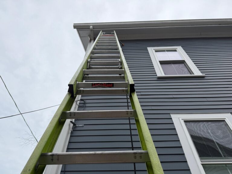 Gutter Cleaning
