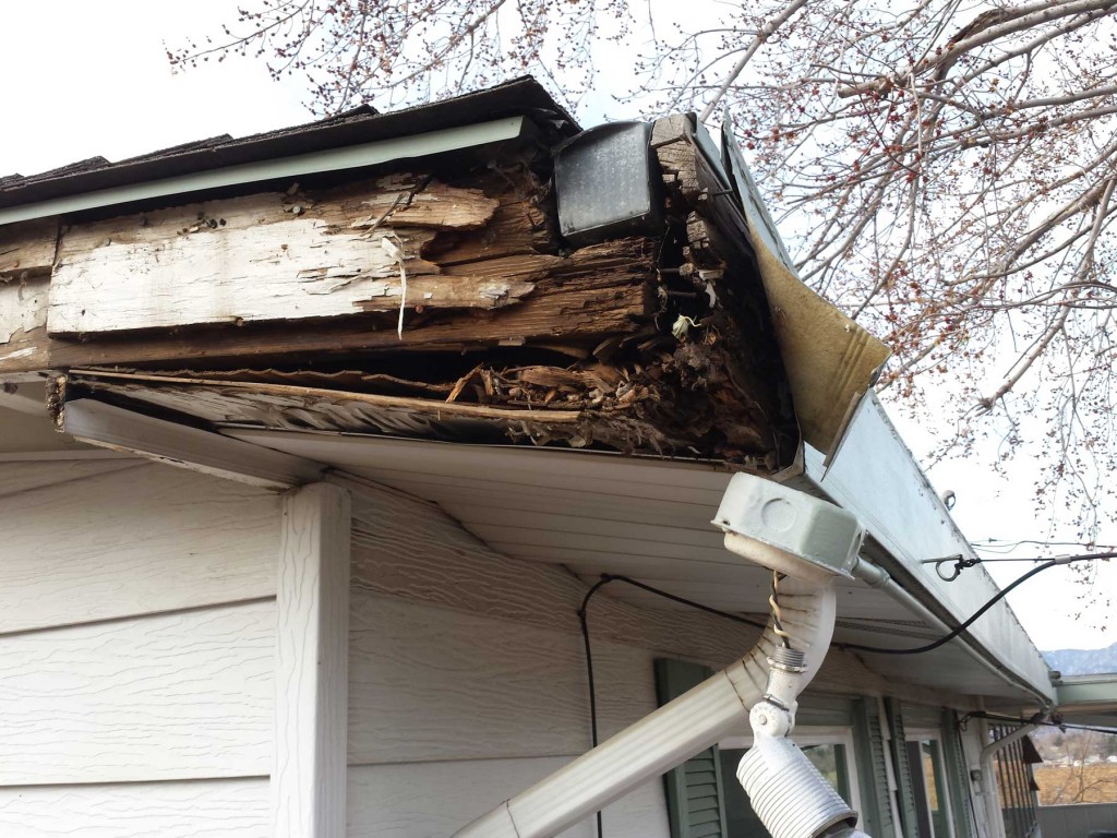 Why Fascia Rots (And What Your Gutters Have to Do With It)